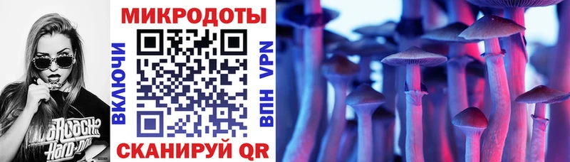 Псилоцибиновые грибы Psilocybe  Дюртюли 